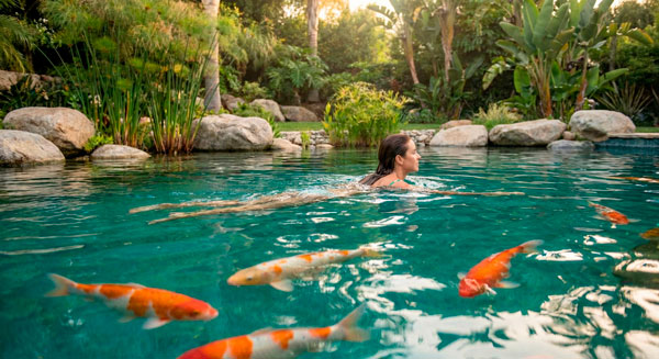 Mujer nadando relajadamente en una laguna natural cristalina rodeada de peces Koi
